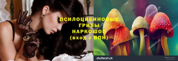 mdpv Верхний Тагил