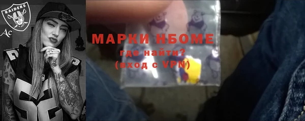 крисы Бородино