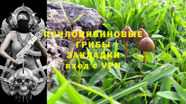 бошки Бежецк