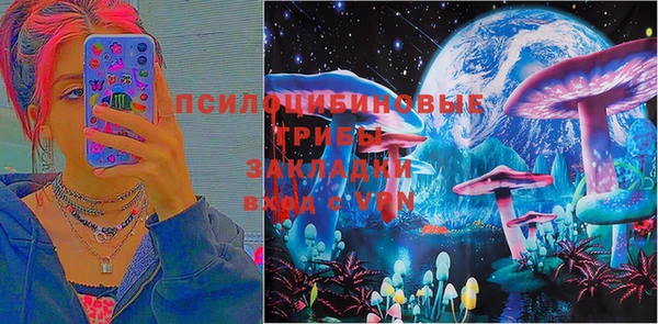 бошки Бежецк