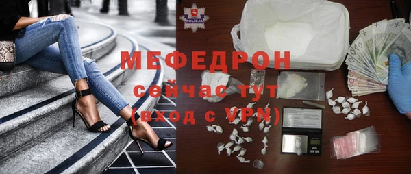 крисы Бородино