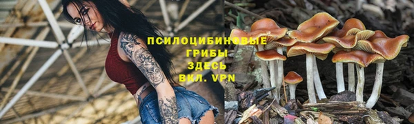 mdpv Верхний Тагил