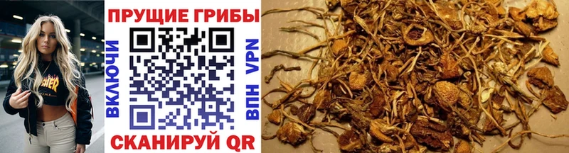 Галлюциногенные грибы MAGIC MUSHROOMS ОМГ ОМГ маркетплейс Высоковск